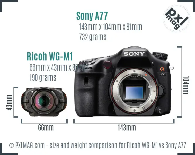 Ricoh WG-M1 vs Sony A77 size comparison