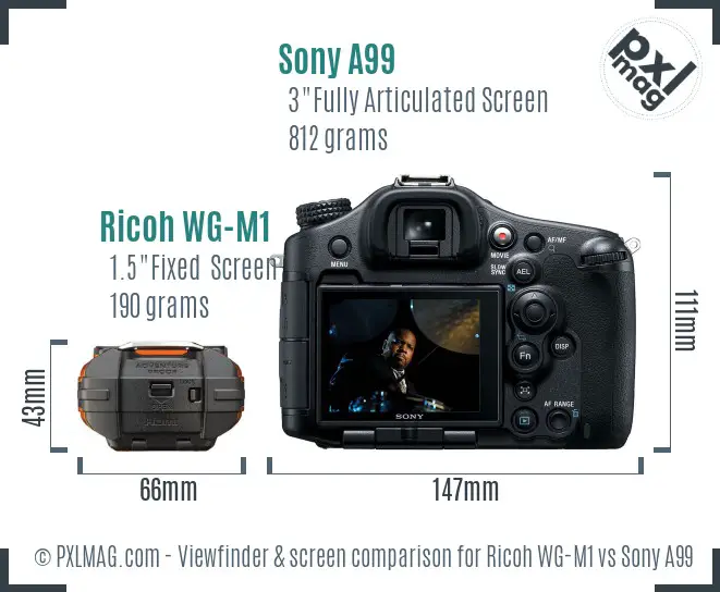 Ricoh WG-M1 vs Sony A99 Screen and Viewfinder comparison
