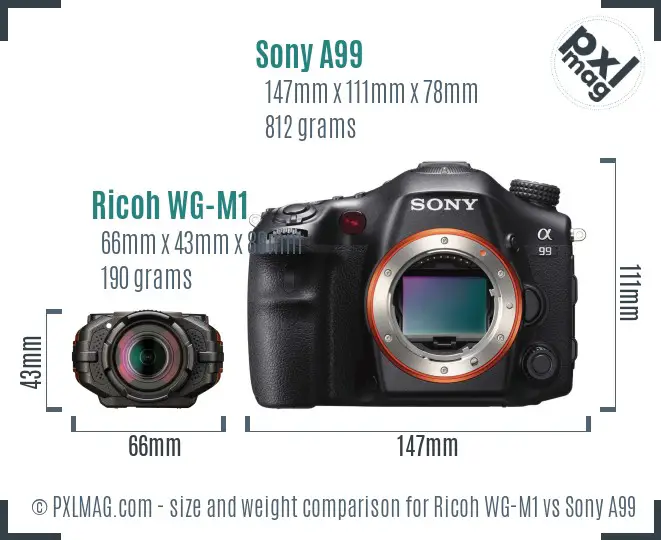 Ricoh WG-M1 vs Sony A99 size comparison