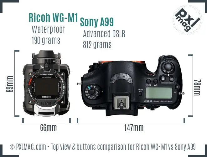 Ricoh WG-M1 vs Sony A99 top view buttons comparison
