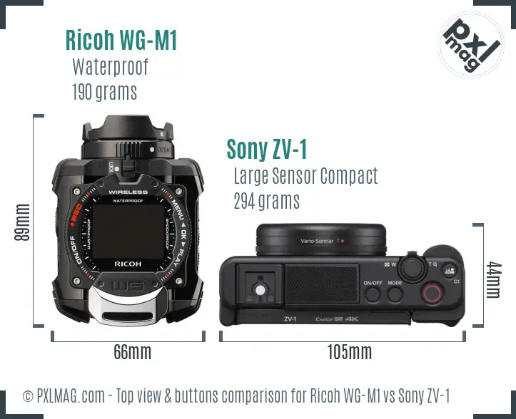 Ricoh WG-M1 vs Sony ZV-1 top view buttons comparison