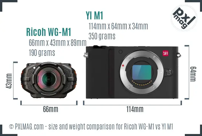 Ricoh WG-M1 vs YI M1 size comparison