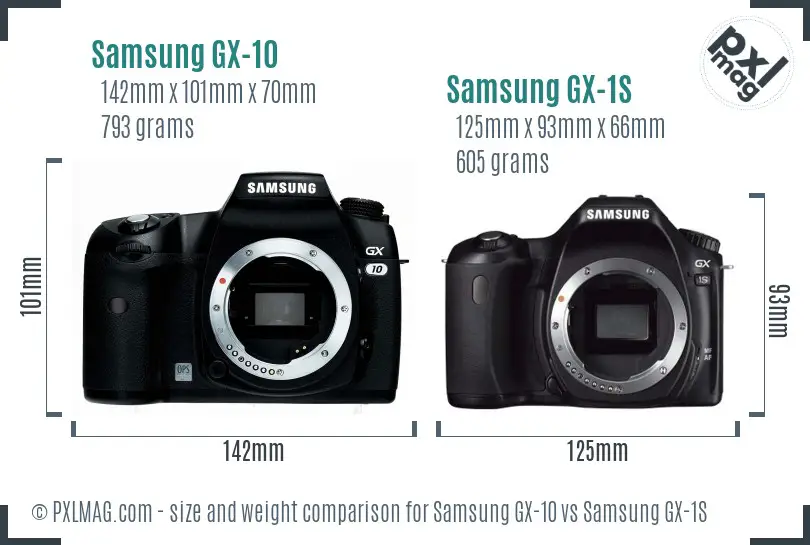 Samsung GX-10 vs Samsung GX-1S size comparison