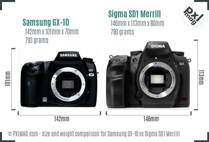 Samsung GX-10 vs Sigma SD1 Merrill size comparison