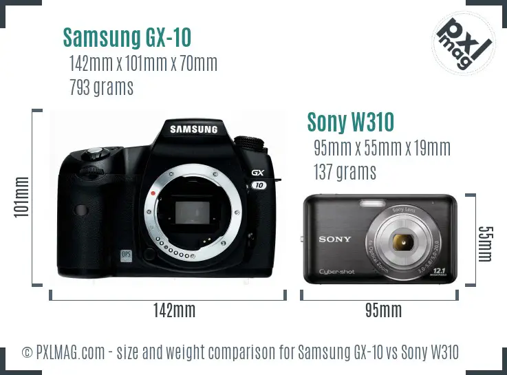 Samsung GX-10 vs Sony W310 size comparison
