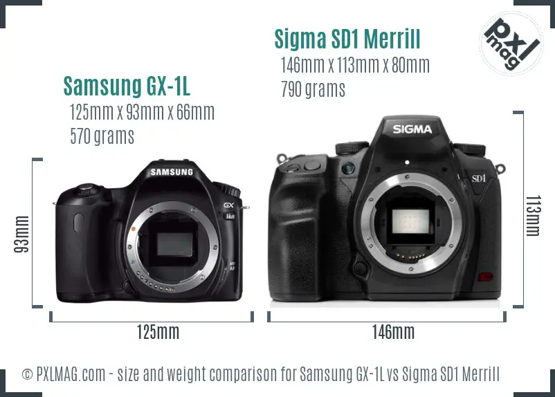 Samsung GX-1L vs Sigma SD1 Merrill size comparison