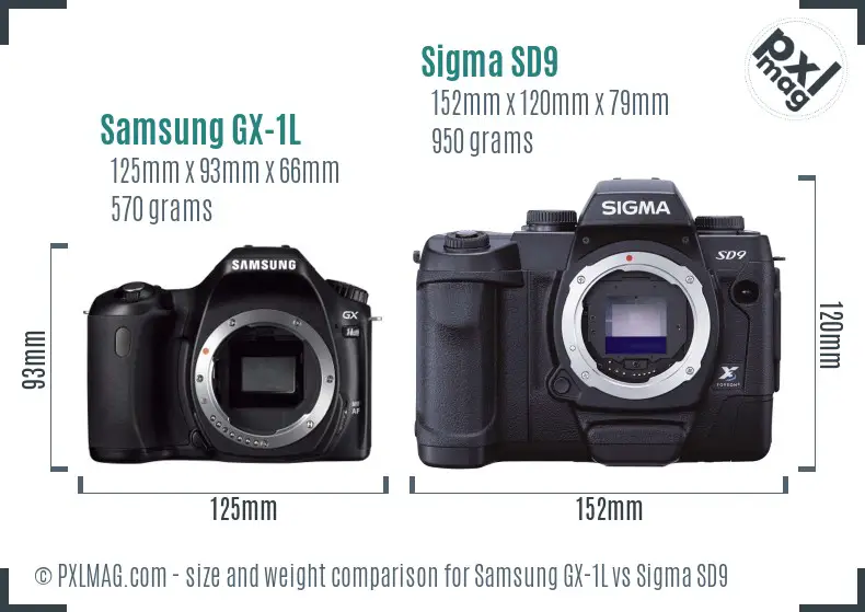 Samsung GX-1L vs Sigma SD9 size comparison