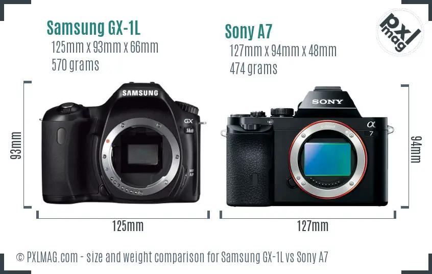 Samsung GX-1L vs Sony A7 size comparison