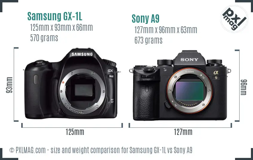 Samsung GX-1L vs Sony A9 size comparison