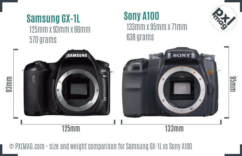 Samsung GX-1L vs Sony A100 size comparison