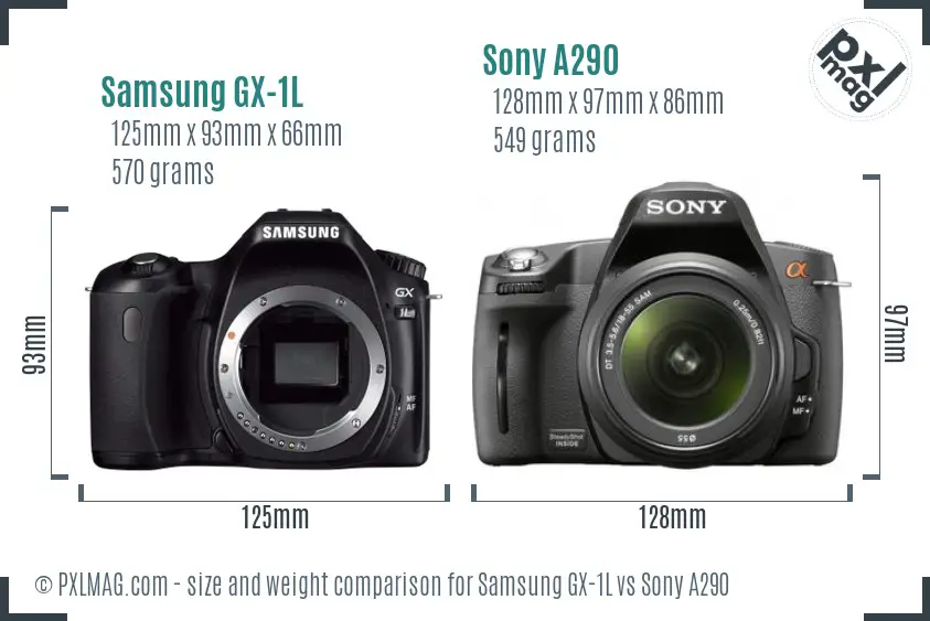 Samsung GX-1L vs Sony A290 size comparison