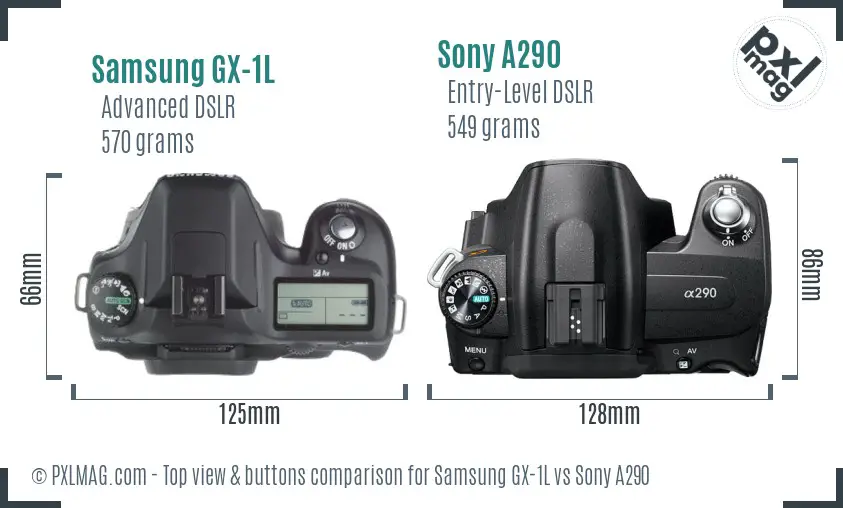 Samsung GX-1L vs Sony A290 top view buttons comparison