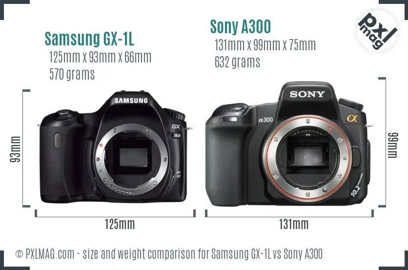 Samsung GX-1L vs Sony A300 size comparison