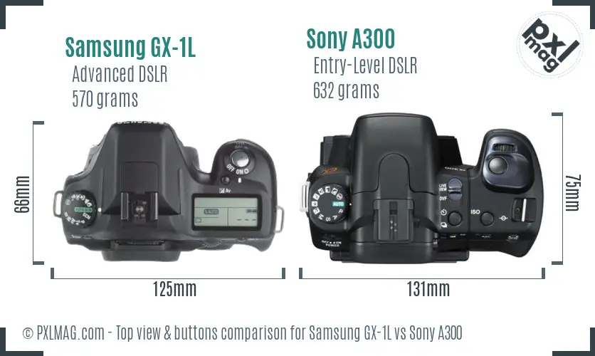 Samsung GX-1L vs Sony A300 top view buttons comparison