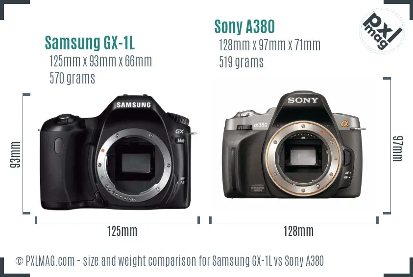 Samsung GX-1L vs Sony A380 size comparison