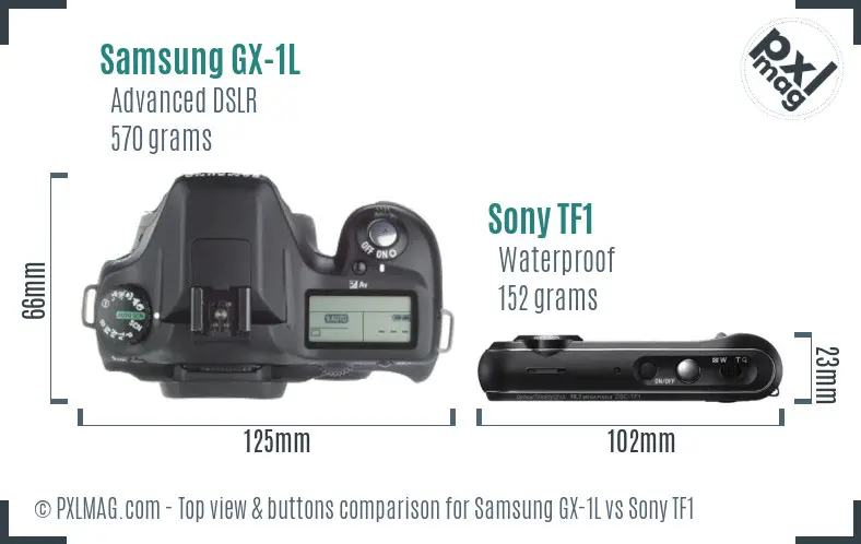 Samsung GX-1L vs Sony TF1 top view buttons comparison