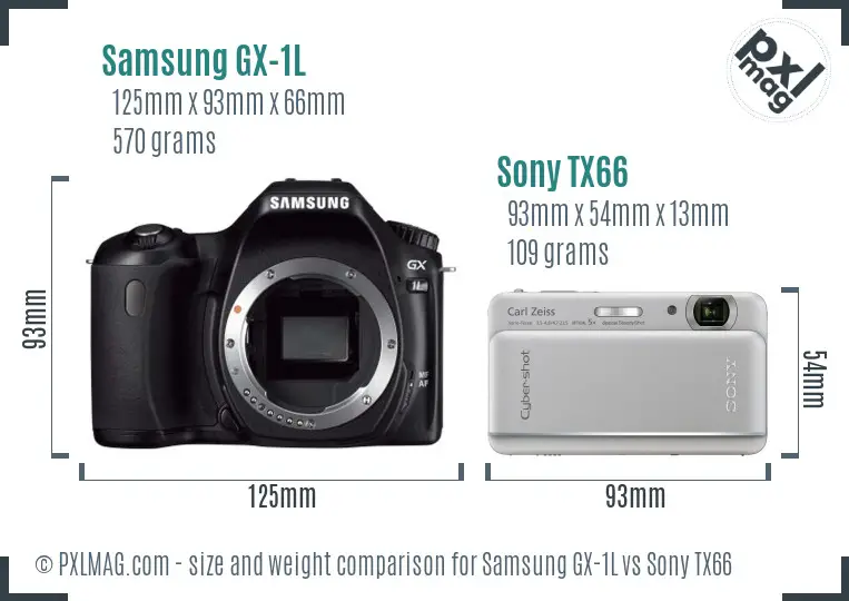 Samsung GX-1L vs Sony TX66 size comparison