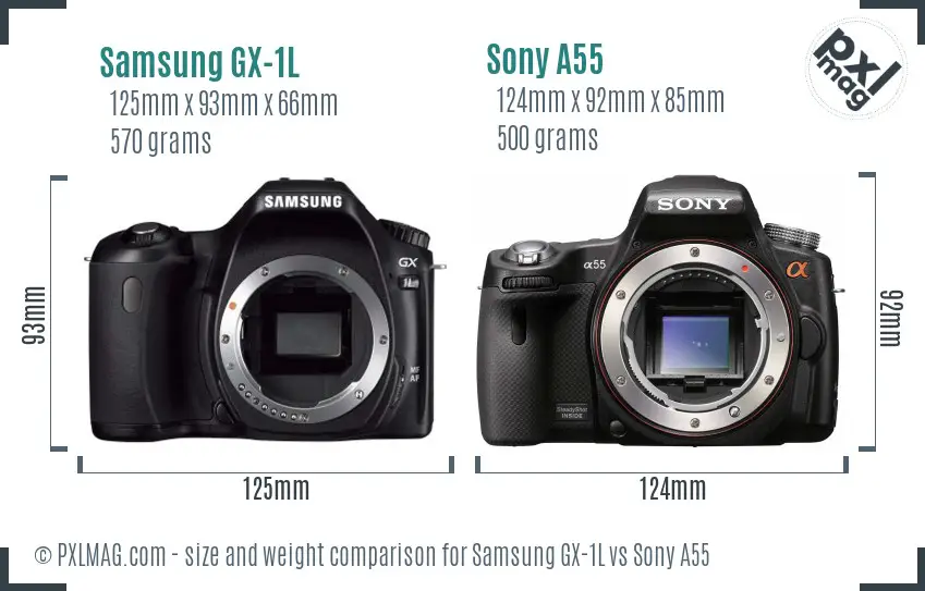 Samsung GX-1L vs Sony A55 size comparison
