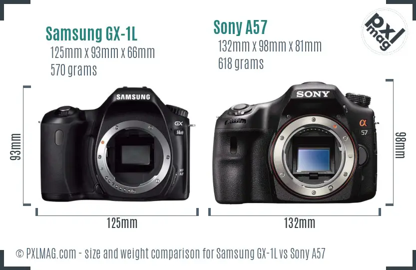 Samsung GX-1L vs Sony A57 size comparison
