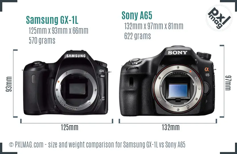 Samsung GX-1L vs Sony A65 size comparison