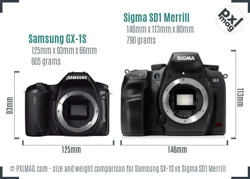 Samsung GX-1S vs Sigma SD1 Merrill size comparison