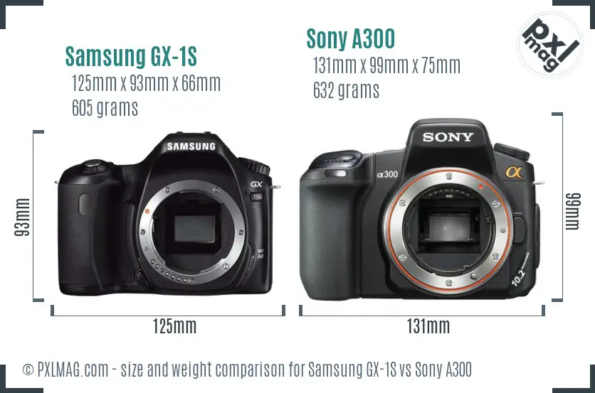 Samsung GX-1S vs Sony A300 size comparison