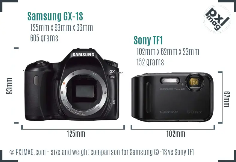 Samsung GX-1S vs Sony TF1 size comparison