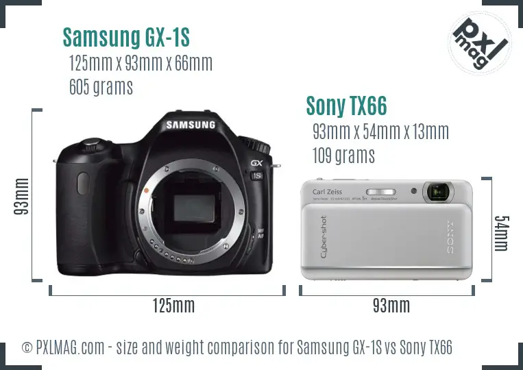 Samsung GX-1S vs Sony TX66 size comparison