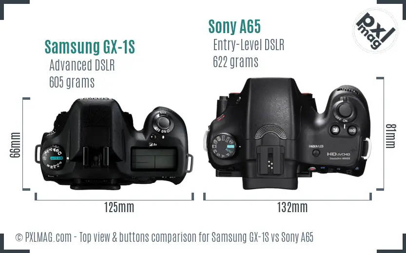 Samsung GX-1S vs Sony A65 top view buttons comparison