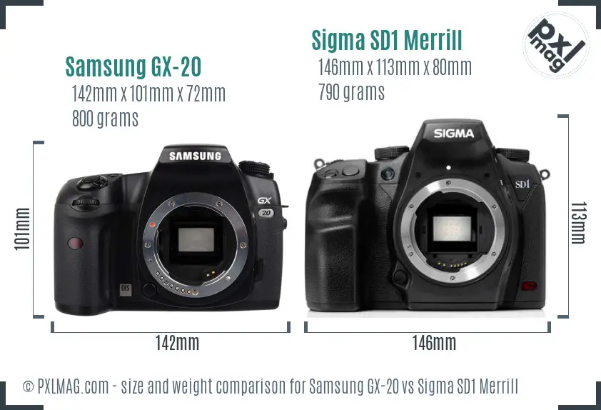 Samsung GX-20 vs Sigma SD1 Merrill size comparison