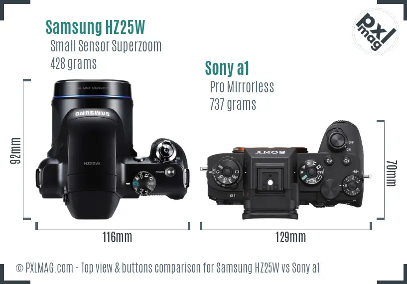 Samsung HZ25W vs Sony a1 top view buttons comparison