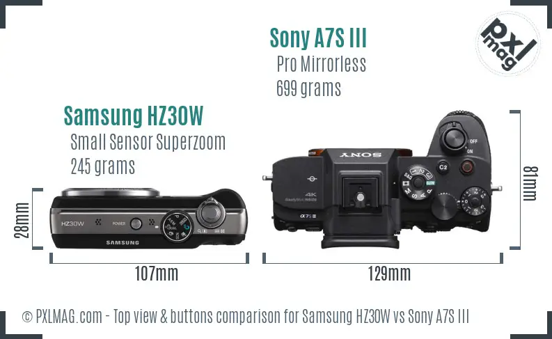 Samsung HZ30W vs Sony A7S III top view buttons comparison