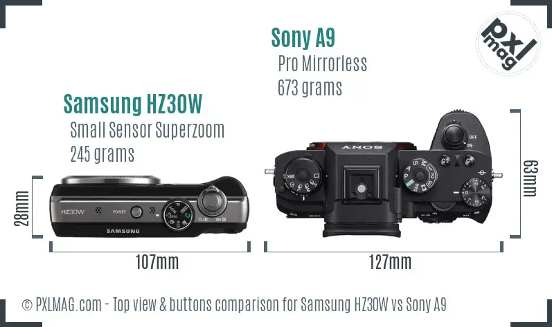 Samsung HZ30W vs Sony A9 top view buttons comparison