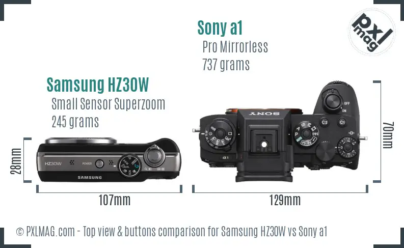 Samsung HZ30W vs Sony a1 top view buttons comparison