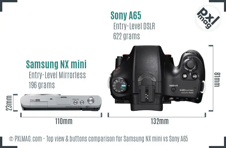 Samsung NX mini vs Sony A65 top view buttons comparison