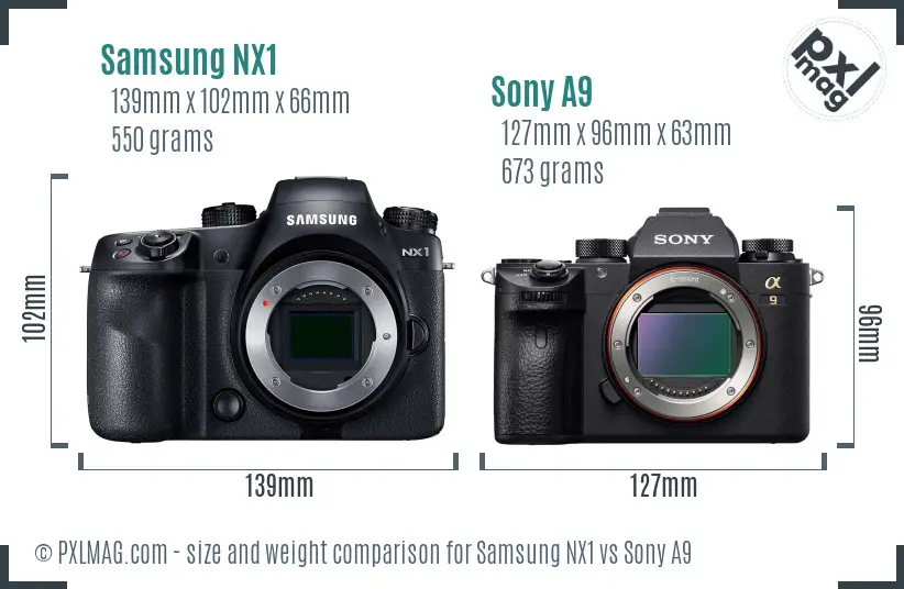 Samsung NX1 vs Sony A9 size comparison