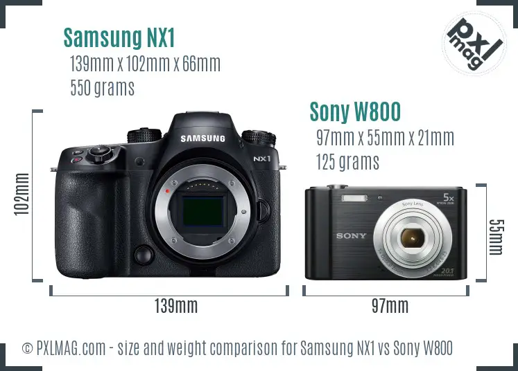 Samsung NX1 vs Sony W800 size comparison