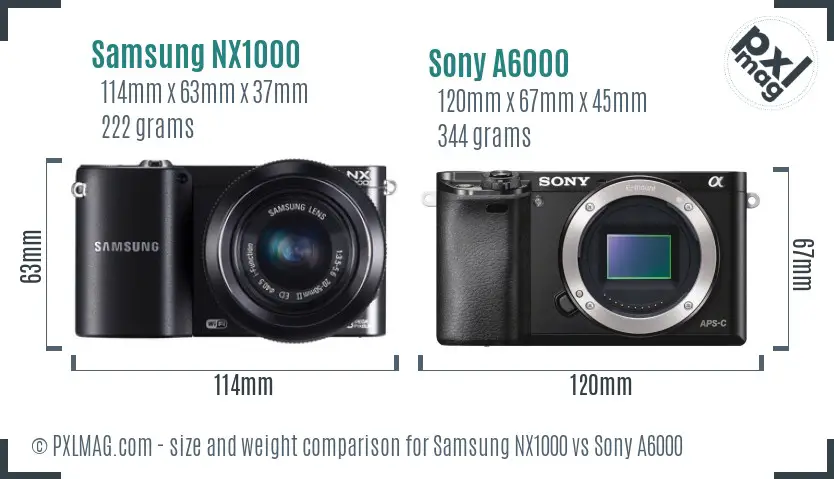 Samsung NX1000 vs Sony A6000 size comparison