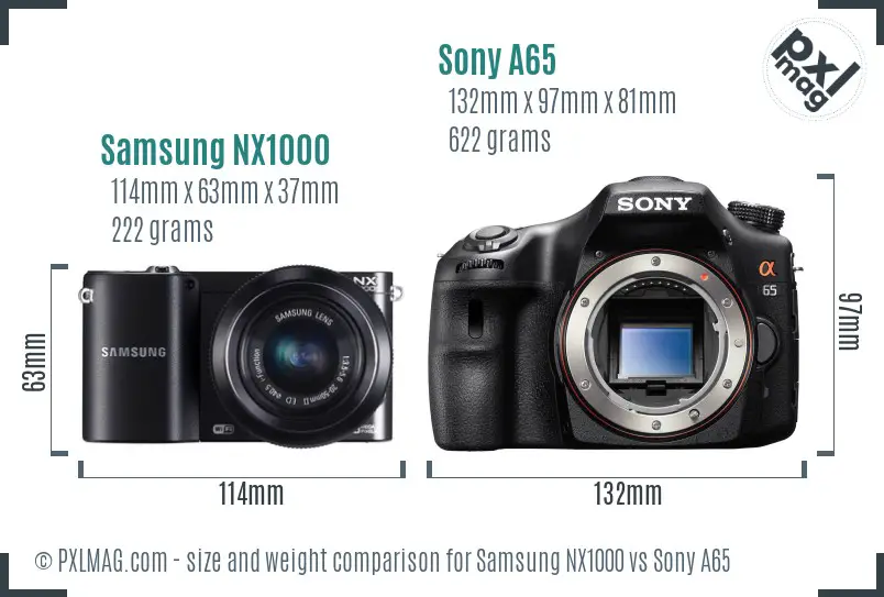 Samsung NX1000 vs Sony A65 size comparison