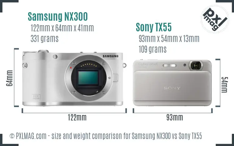 Samsung NX300 vs Sony TX55 size comparison