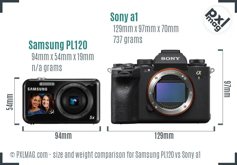 Samsung PL120 vs Sony a1 size comparison