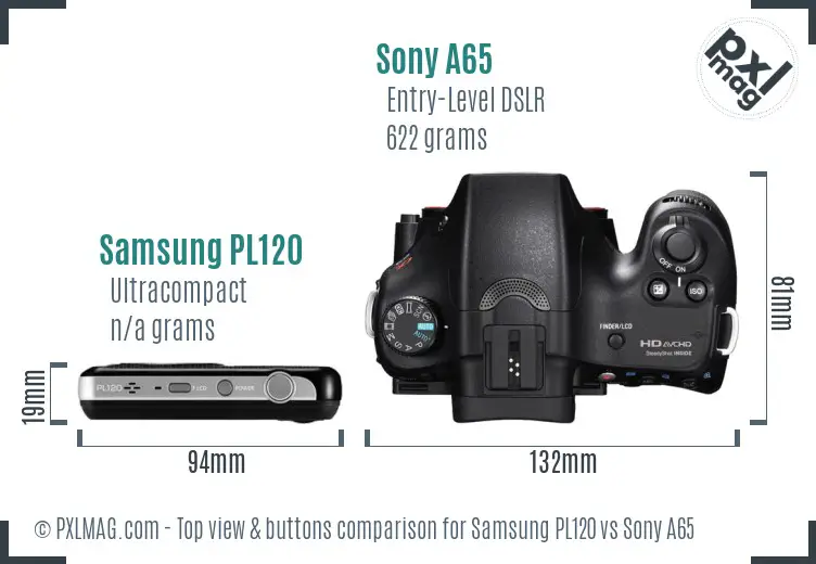 Samsung PL120 vs Sony A65 top view buttons comparison