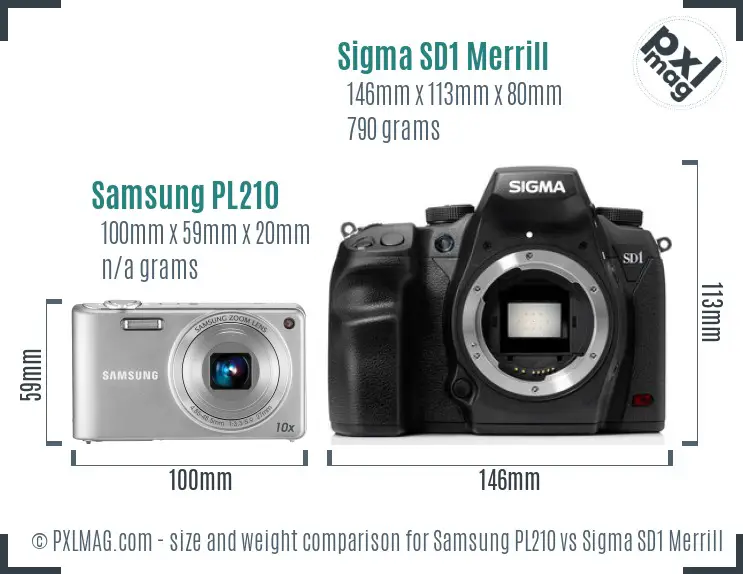 Samsung PL210 vs Sigma SD1 Merrill size comparison
