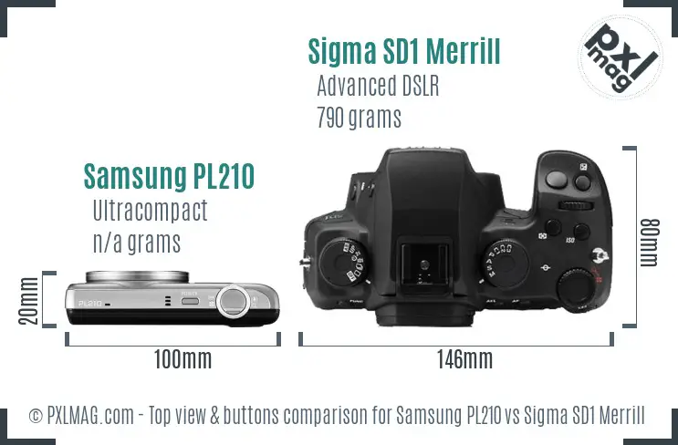 Samsung PL210 vs Sigma SD1 Merrill top view buttons comparison