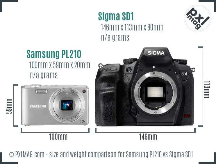 Samsung PL210 vs Sigma SD1 size comparison