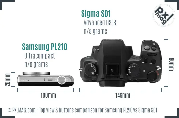 Samsung PL210 vs Sigma SD1 top view buttons comparison