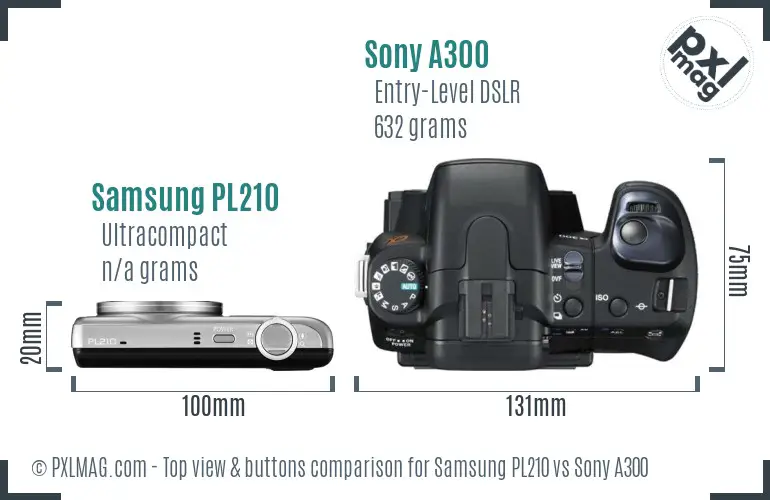 Samsung PL210 vs Sony A300 top view buttons comparison