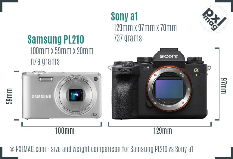 Samsung PL210 vs Sony a1 size comparison