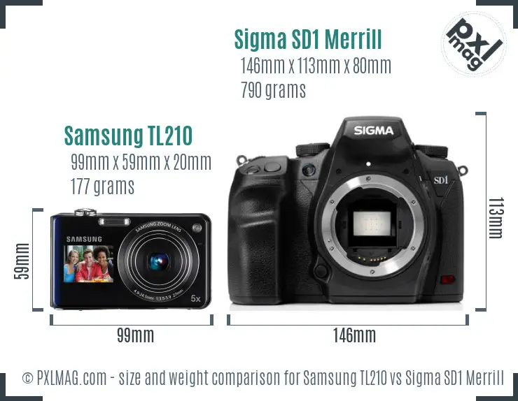 Samsung TL210 vs Sigma SD1 Merrill size comparison