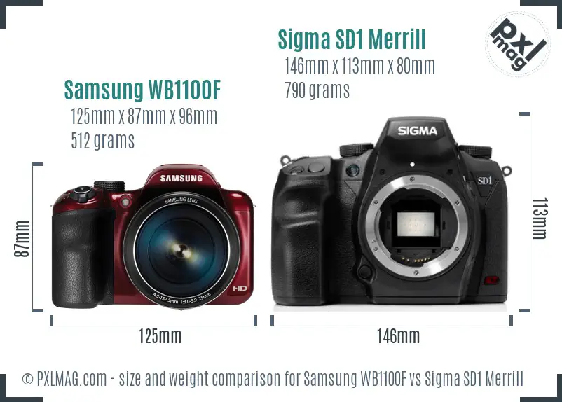Samsung WB1100F vs Sigma SD1 Merrill size comparison